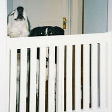 Buy a wood pet or baby gate